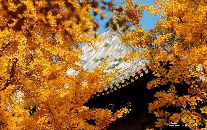 繽紛三孔 | 多彩秋日游，享受視覺盛宴！一起“趣”三孔吧