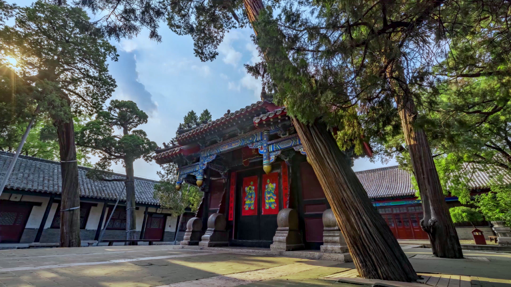 (11)vlcsnap-2022-01-06-09h57m45s219(1) (11)vlcsnap-2022-01-06-09h57m45s219(1)