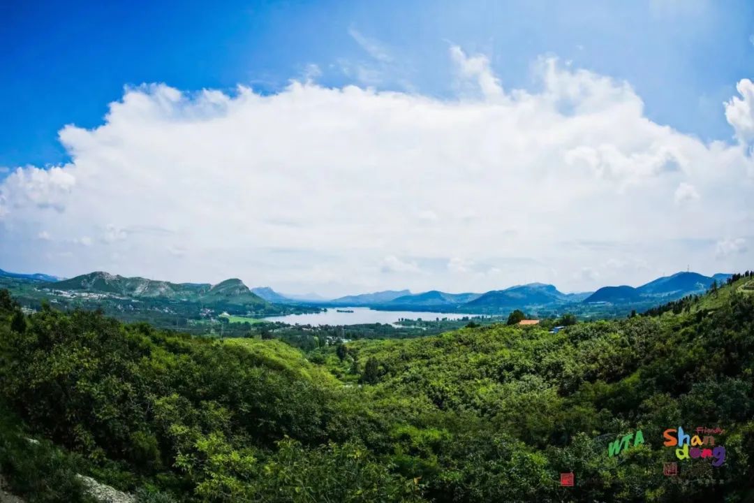 20220809_093915_003 20220809_093915_003