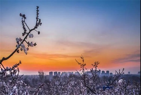 關(guān)于中央、省、市出臺(tái)的促進(jìn)企業(yè)復(fù)工復(fù)產(chǎn) 政策及主要內(nèi)容解讀