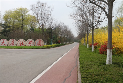 春游攻略 | 濟(jì)寧人家門(mén)口的牡丹花會(huì) ——太白湖大唐牡丹園