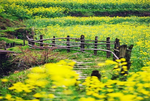 扎實做好“六穩(wěn)”“六?！惫ぷ?促進(jìn)經(jīng)濟秩序加快恢復(fù)轉(zhuǎn)型發(fā)展加力提速