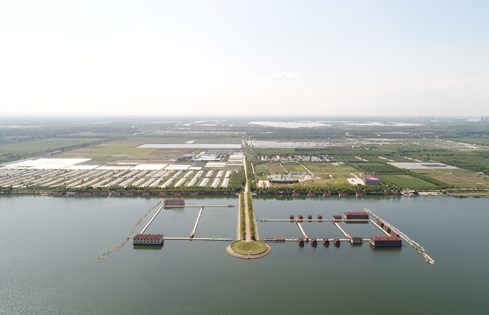 南陽湖農(nóng)場發(fā)揮優(yōu)勢全面發(fā)力多點突破  向著生態(tài)科技農(nóng)企美好前景砥礪前行