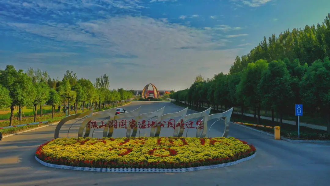 “云游”多彩濕地：濟(jì)寧微山湖濕地帶您領(lǐng)悟獨(dú)特的濕地之美！