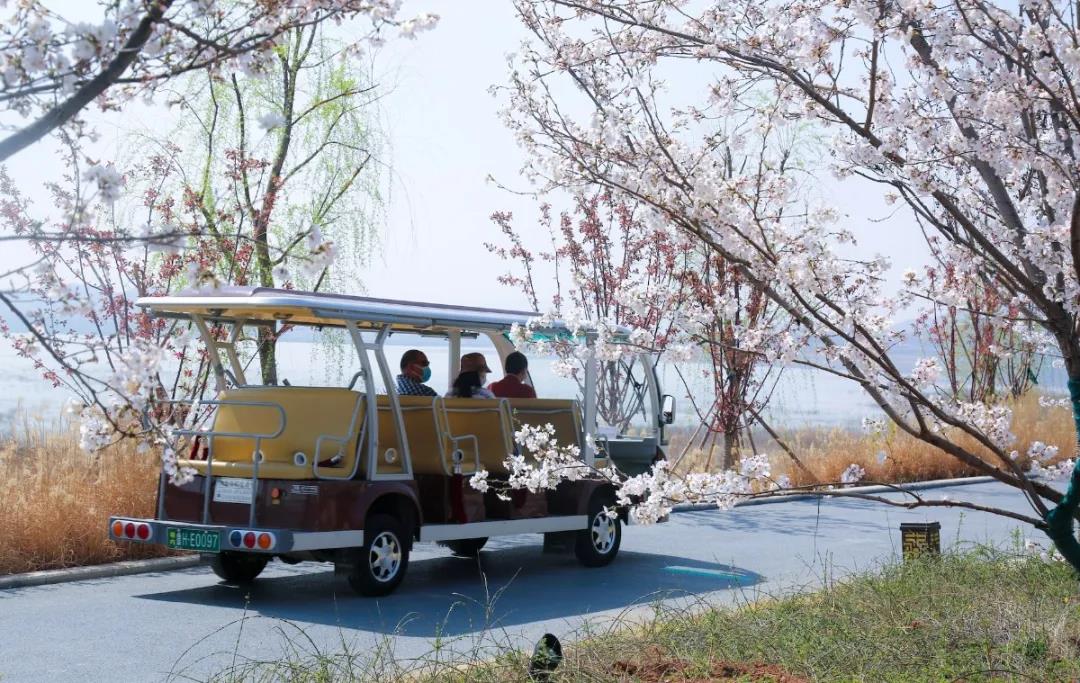 孔子文旅集團(tuán)多家景區(qū)“網(wǎng)絡(luò)傳播影響力指數(shù)”靠前 實(shí)現(xiàn)開(kāi)門紅