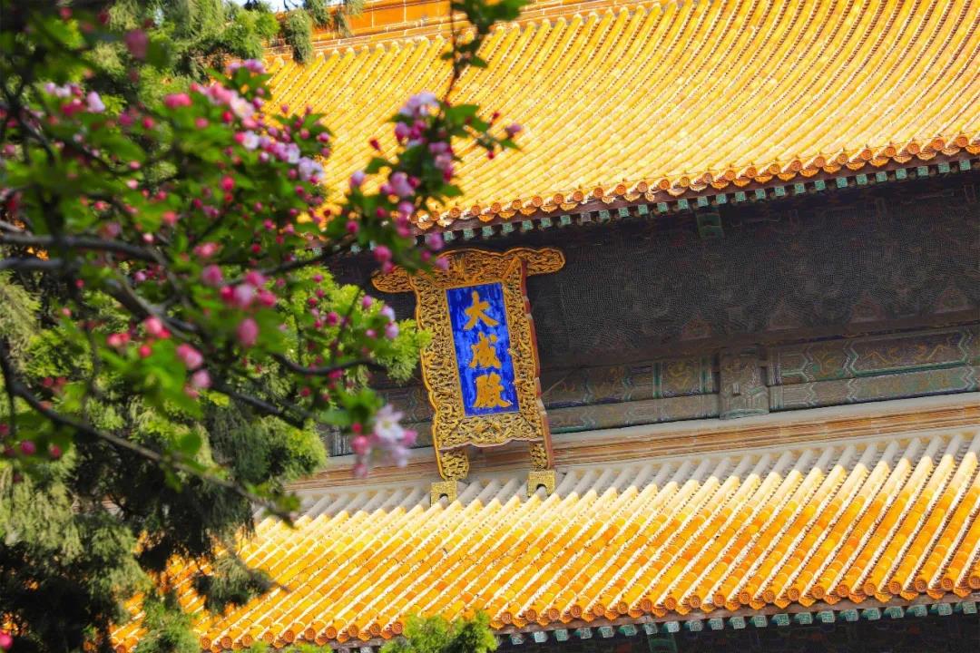 五一出游攻略 | 孔子文旅集團(tuán)這些景區(qū)歡迎打卡！